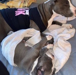 Meet your Posher, Jackie